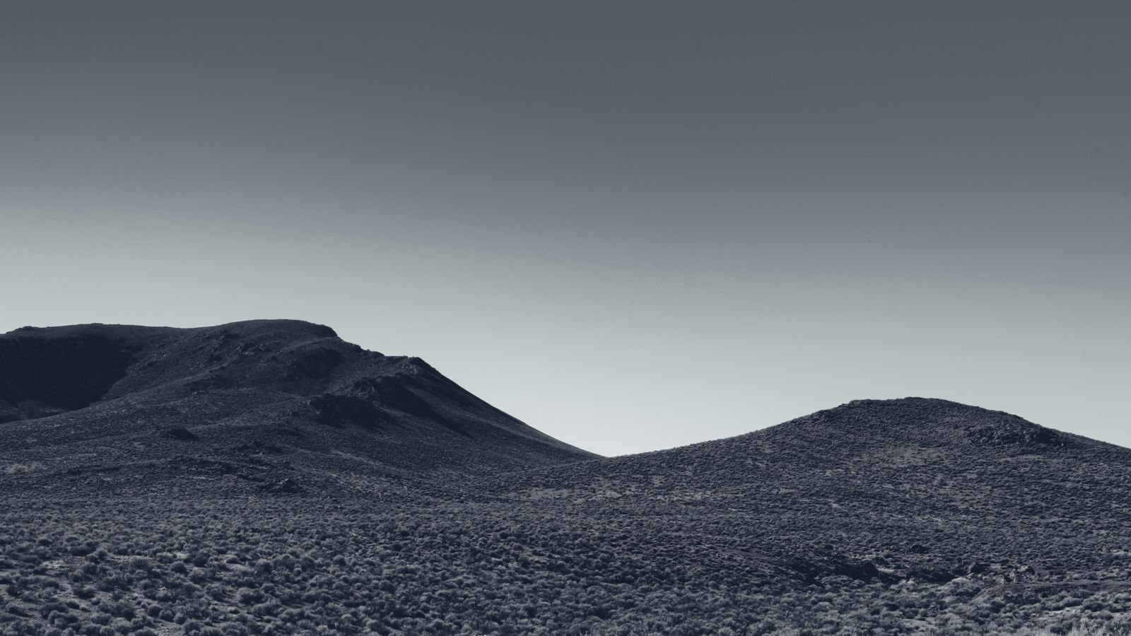 DESERT RIDGE